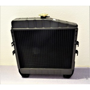 Radiator apa Case 3145498R93