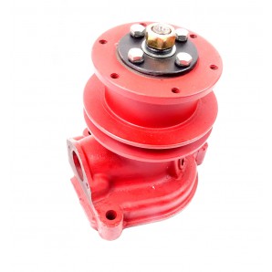 Pompa apa Belarus 2401307010A