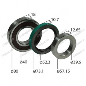 Kit rulment + simering Case IH 1277253C1