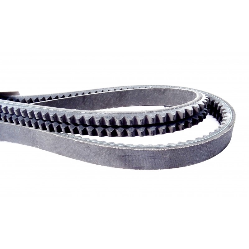 Curea Manitou, Merlo 257524