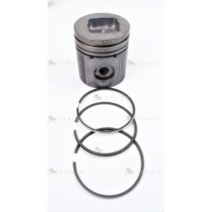 SET PISTON 3640593M91+SEGMENTI