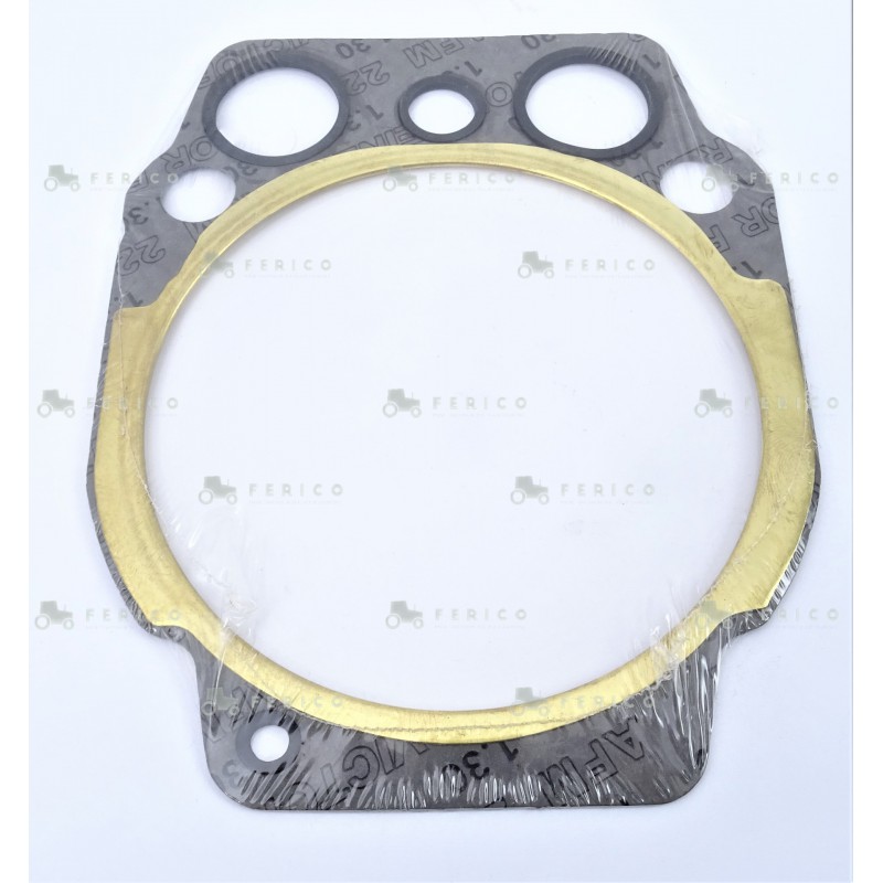 Garnituri Chiulasa Deutz 0.015.9190.0