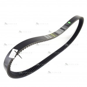 Curea variabila Claas 609823