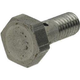 Surub tubular carburant M6x1,00