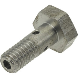 Surub tubular carburant M6x1,00