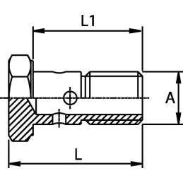 Surub tubular M14 combustibil