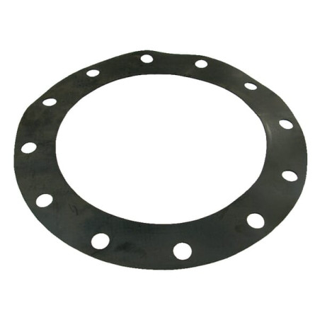 Garnitura pentru flansa 12" 